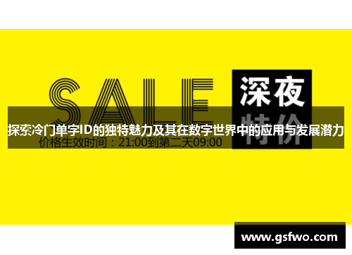 探索冷门单字ID的独特魅力及其在数字世界中的应用与发展潜力