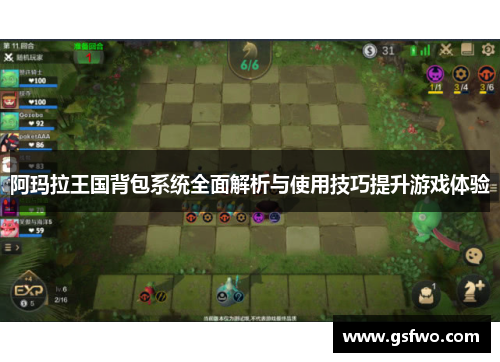 阿玛拉王国背包系统全面解析与使用技巧提升游戏体验